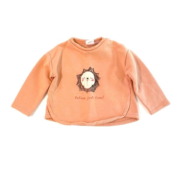 Zara Other - Zara‎ 9-12m sweatshirt